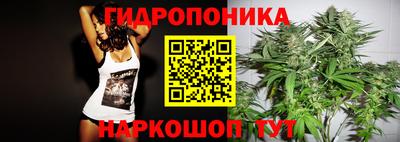 шишки Ярославль