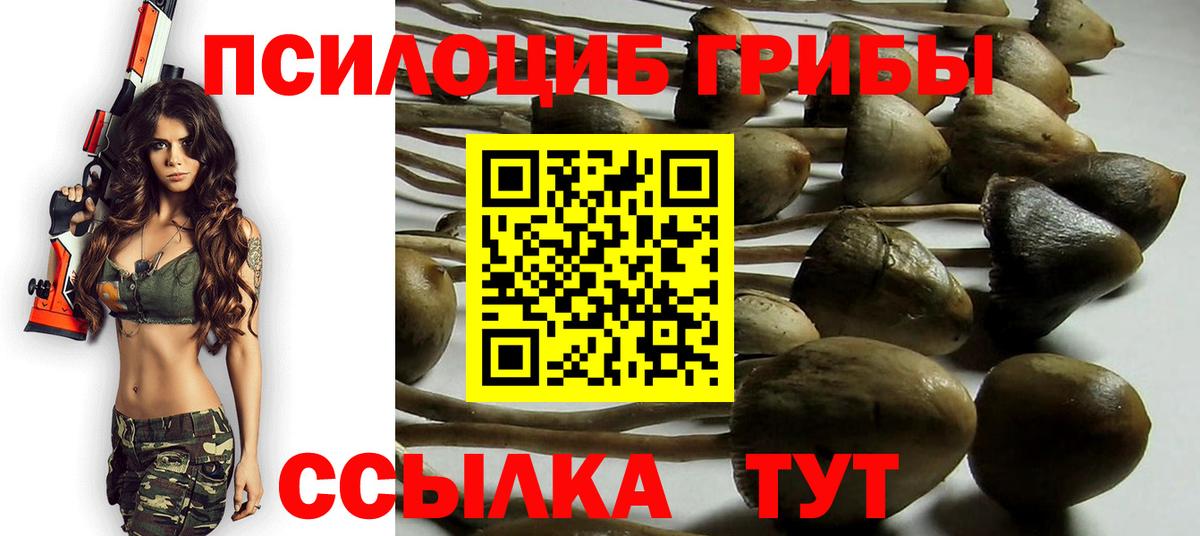 Астрахань  Галлюциногенные грибы ЛСД  Вход с VPN 