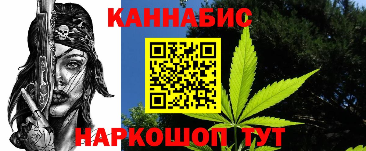 Канабис сатива Астрахань